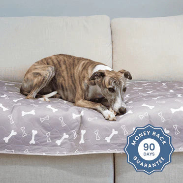 Dog resting on Gokeepy pup pad with 90 day guarantee badge