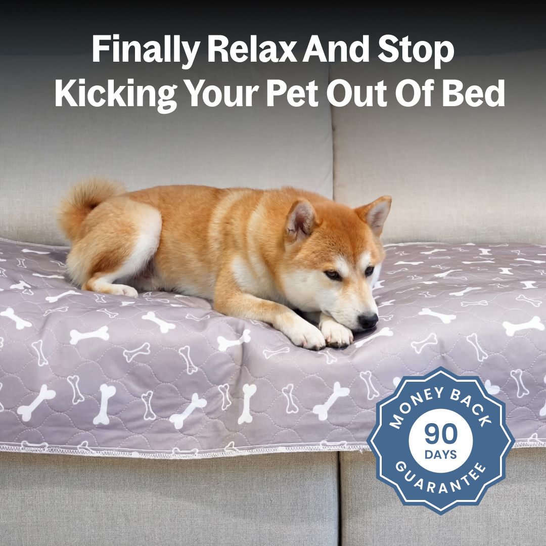 Gokeepy-The Last Pee Pad You'll Get