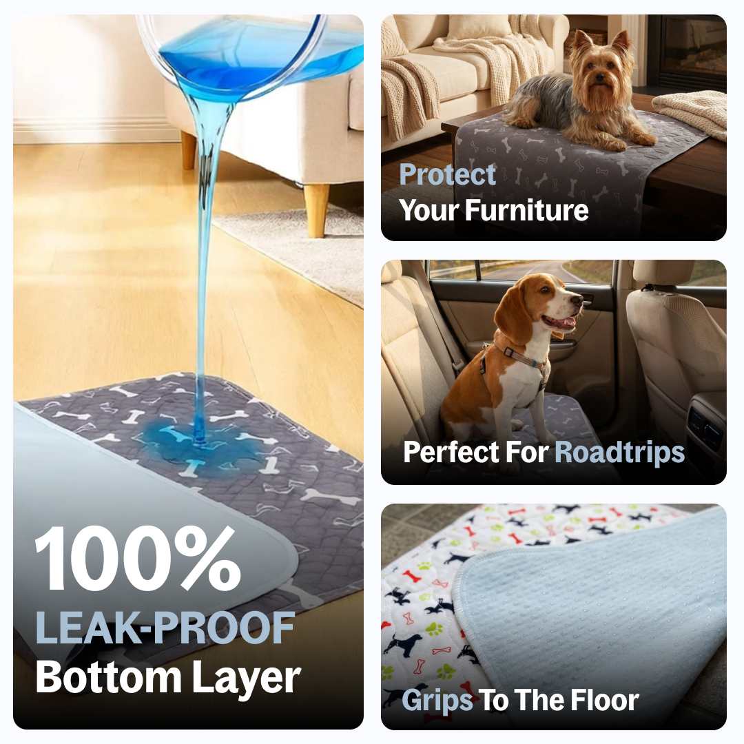 Gokeepy-The Last Pee Pad You'll Get