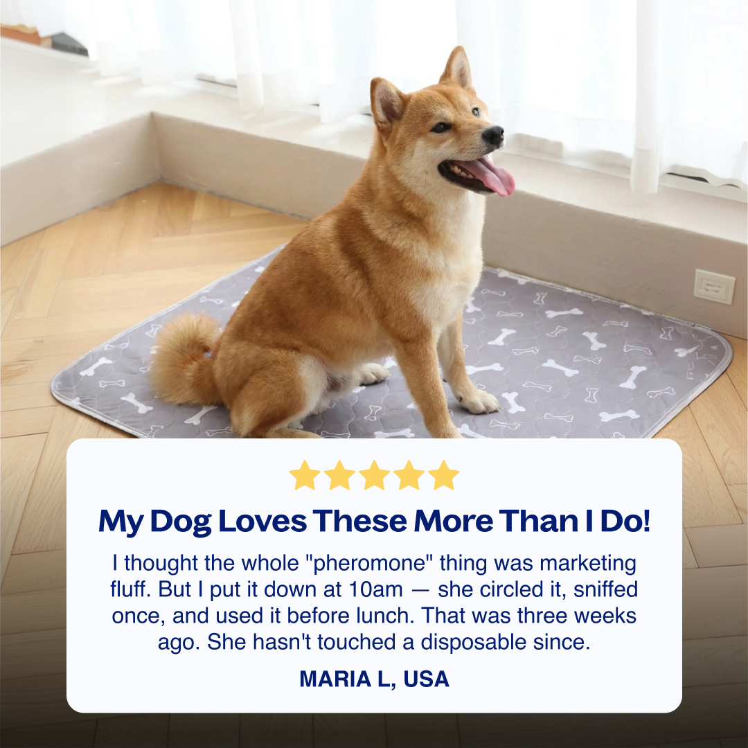 Gokeepy-The Last Pee Pad You'll Get