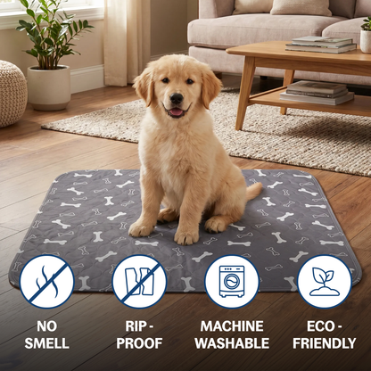 Gokeepy-The Last Pee Pad You'll Get