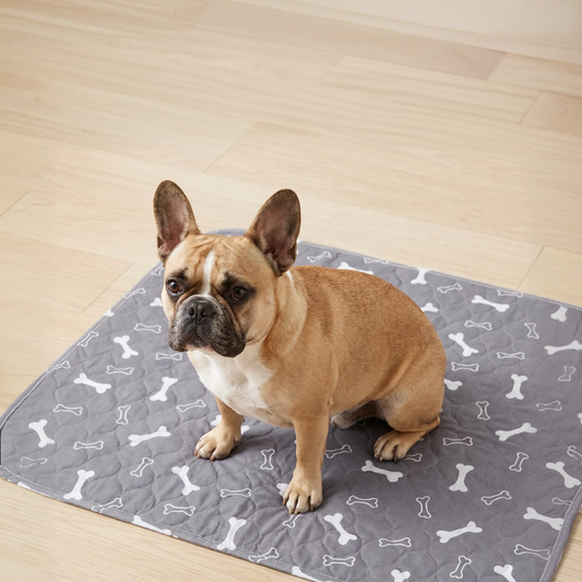 Gokeepy-The Last Pee Pad You'll Get