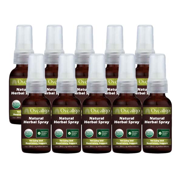✨BESTES ANGEBOT (10 STÜCKE) - €99.97 EUR