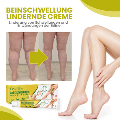 Oveallgo™ Profi AnschwellenAuswärts Bein Comfort Ingwer-Salbe
