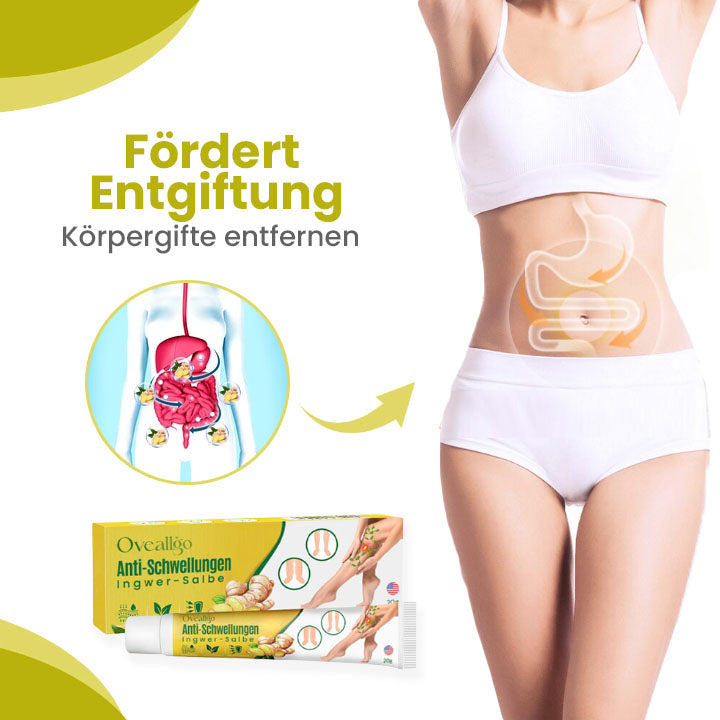 Oveallgo™ AnschwellenAuswärts Bein Comfort Ingwer-Salbe