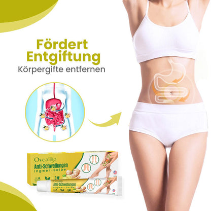 Oveallgo™ Profi AnschwellenAuswärts Bein Comfort Ingwer-Salbe