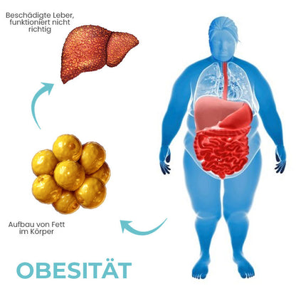 Oveallgo™ DetoxiSense Profi Kräuter-Nasenbeleber