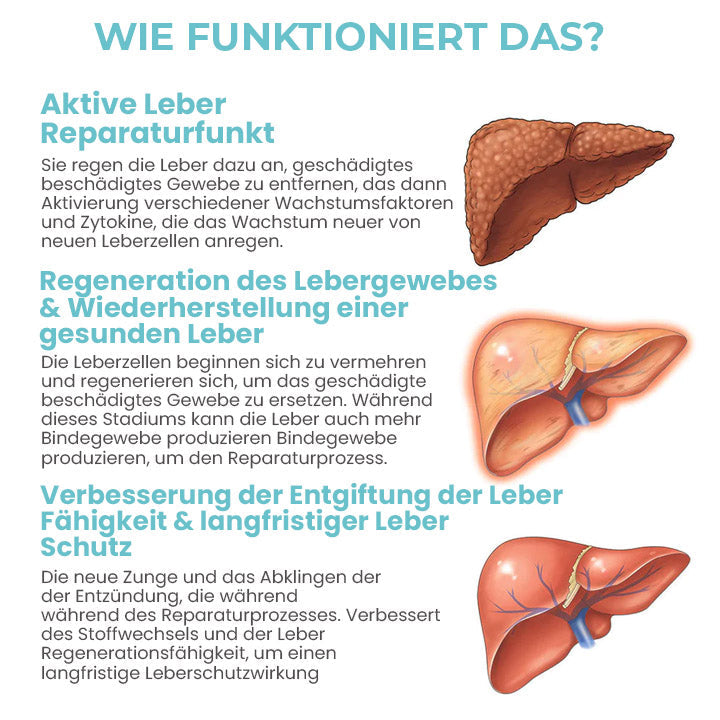 Oveallgo™ DetoxiSense Profi Kräuter-Nasenbeleber