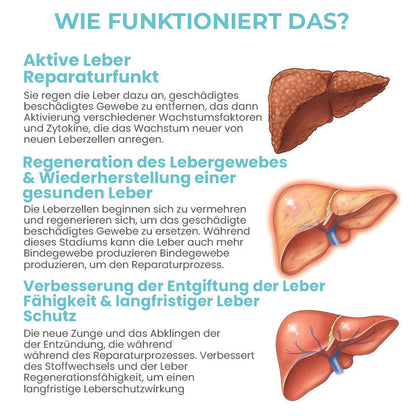 Oveallgo™ DetoxiSense Profi Kräuter-Nasenbeleber