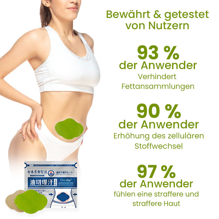 Oveallgo™ Japan PURI Infrarot Suana Therapie Wintergrün Entgiftungspflaster
