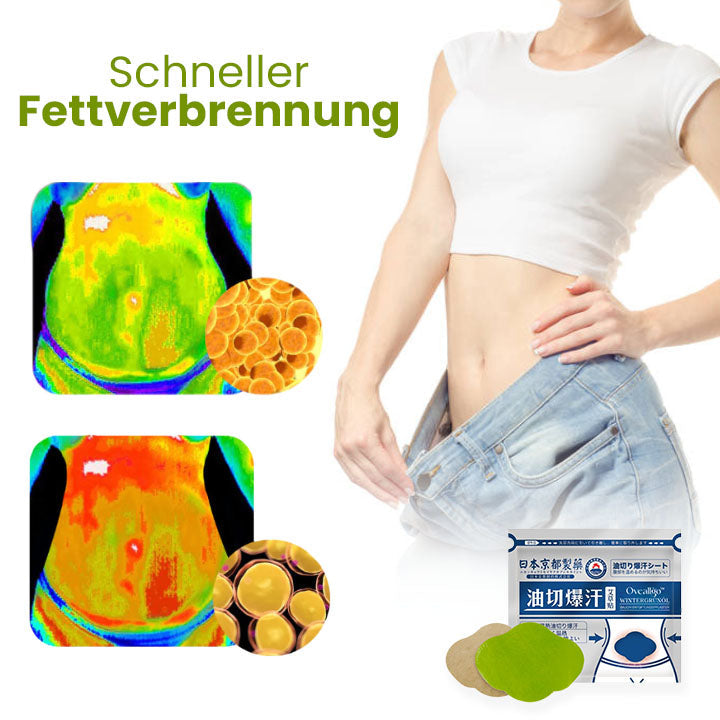 Oveallgo™ Japan Infrarot Suana Therapie Wintergrün Entgiftungspflaster