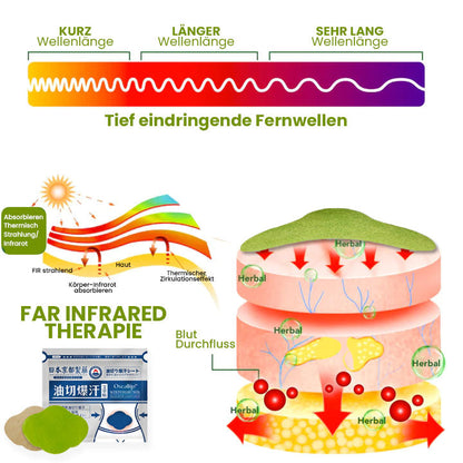 Oveallgo™ Japan Infrarot Suana Therapie Wintergrün Entgiftungspflaster
