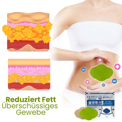 Oveallgo™ Japan PURI Infrarot Suana Therapie Wintergrün Entgiftungspflaster