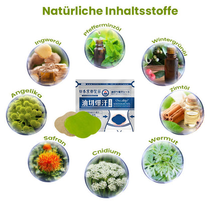 Oveallgo™ Japan PURI Infrarot Suana Therapie Wintergrün Entgiftungspflaster