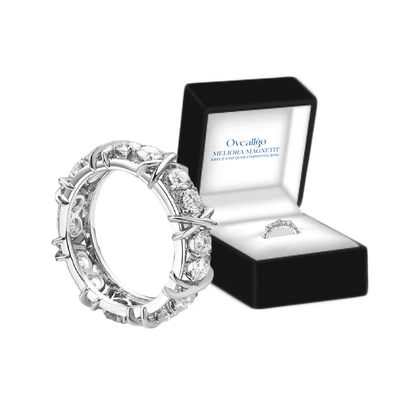 Oveallgo™ Meliora Profi Magnetit Kreuz und Quer Lymphvital Ring